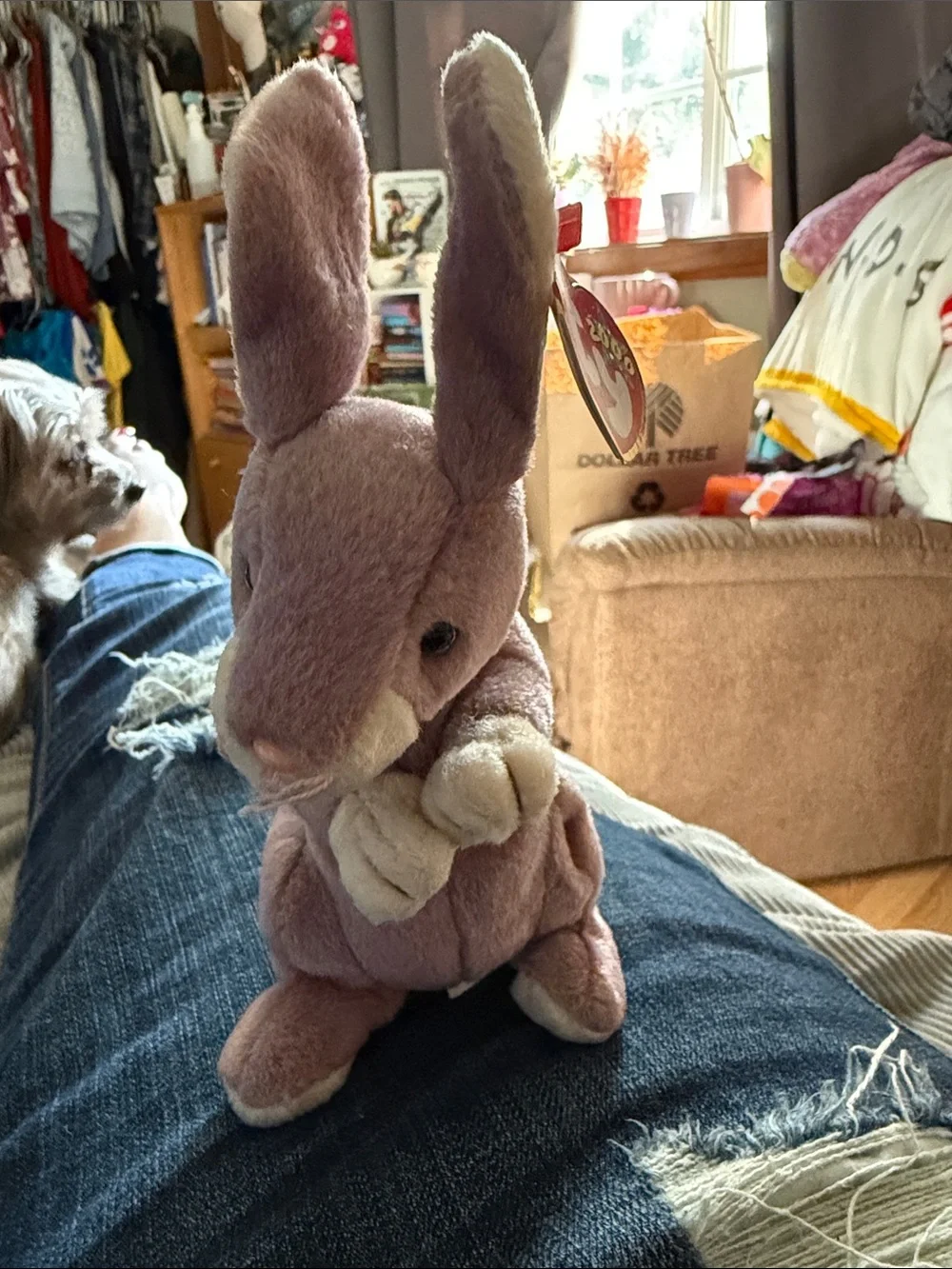Ty Pink and Cream Bunny Beanie Plush with Tag